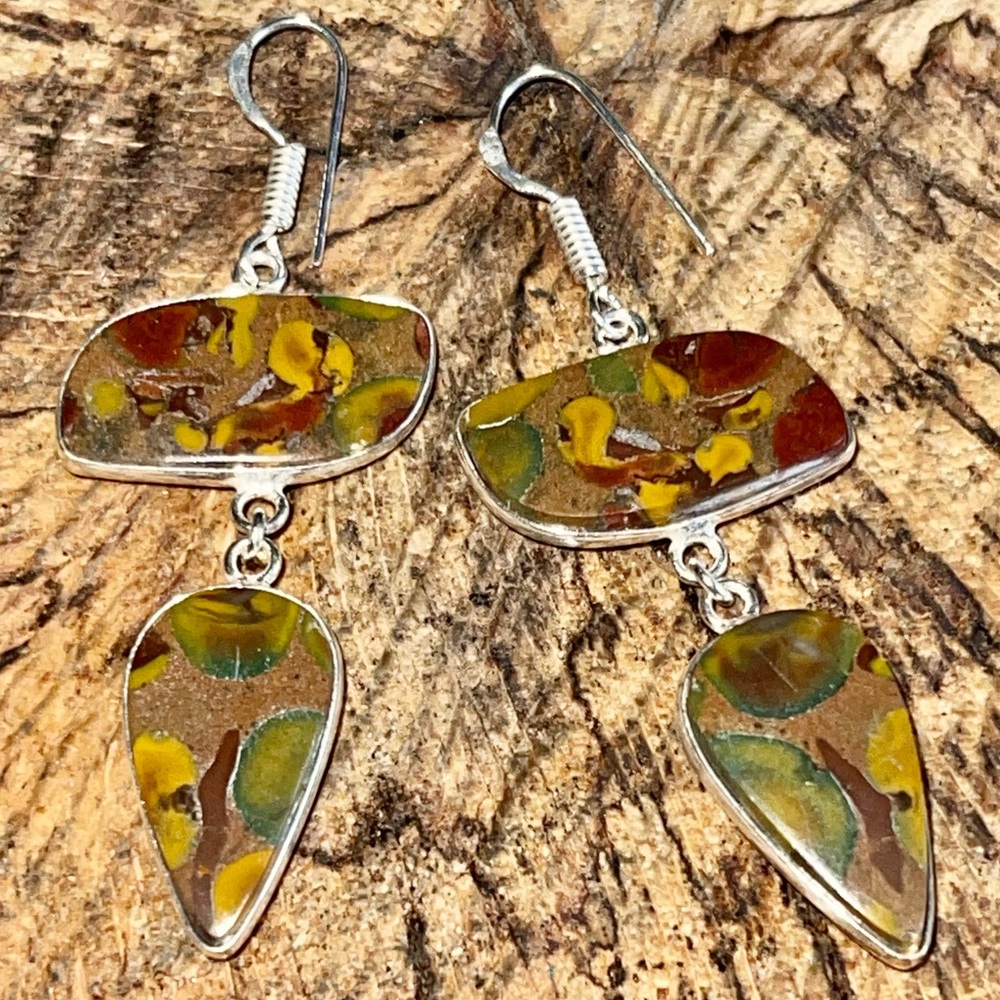 Ajooba Fruit Jasper Earrings 2”